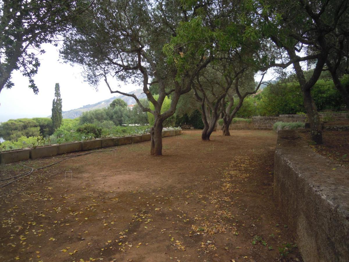 Appartamento In Villa Fortunata Terra Marina Serra Kültér fotó